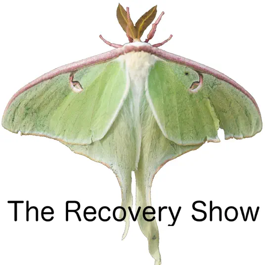 Loved one Alcoholic The Recovery Show